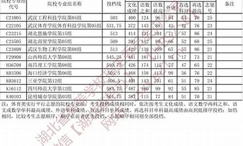 2022湖北省投档分数线_湖北录取投档线