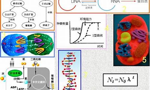 生物高考模型_高考生物技巧模型