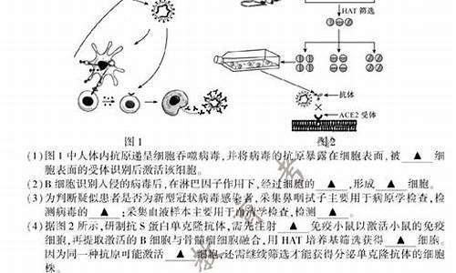 高考生物卷子推荐,高考生物卷子