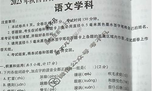 陕西高考语文2020_陕西2024高考语文