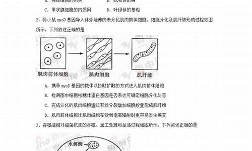 山东高考理综2024,山东高考理综300分怎么分配